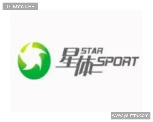 南京足球队运营模式解析与未来发展展望 南京足球队运营模式解析与未来发展展望