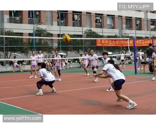 广州排球队的崛起与发展探秘：力量与激情的完美结合