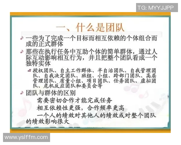武汉排球队在冠军赛中的灵活战术与团队协作表现分析 武汉排球队在冠军赛中的灵活战术与团队协作表现分析