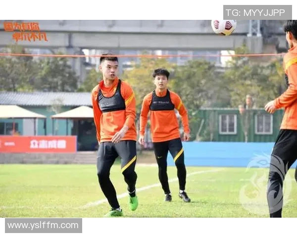 武汉足球队区域防守战术解析与实战应用探讨