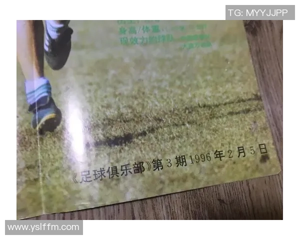 足球明星罗伯特的生平成就与职业生涯全景解析 足球明星罗伯特的生平成就与职业生涯全景解析