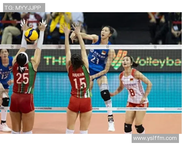 最新排球速度TOP10：北京排球队领跑