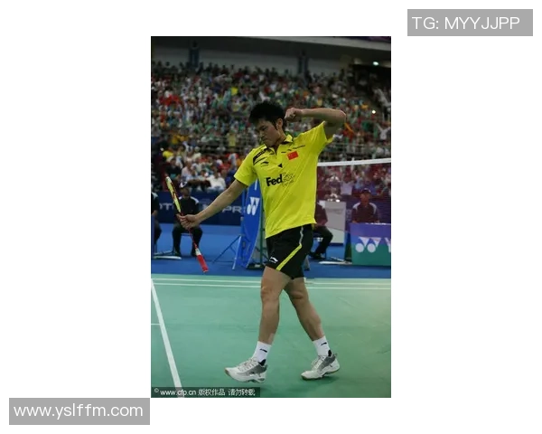 杨娜专访：回顾羽毛球历程