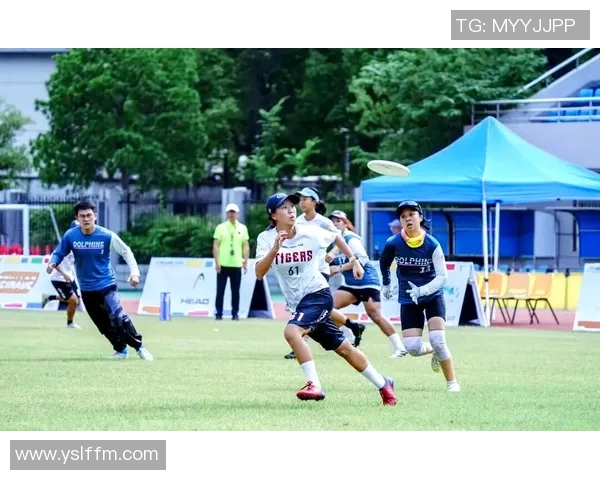 最新飞盘节奏TOP10：杭州飞盘队领跑