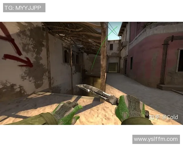 专业解读：TES的区域防守打法