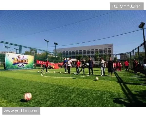 刘强独家：分享足球心得