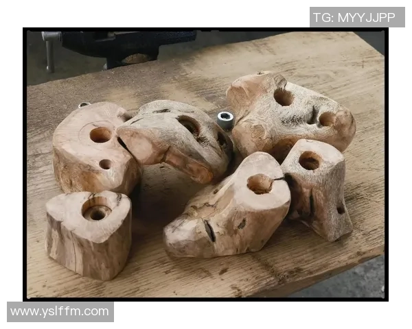 科学攀岩：实力训练方法