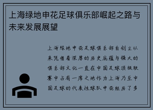 上海绿地申花足球俱乐部崛起之路与未来发展展望