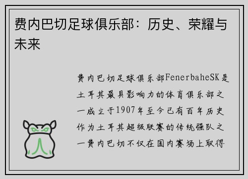 费内巴切足球俱乐部：历史、荣耀与未来