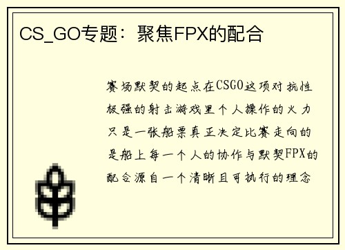 CS_GO专题：聚焦FPX的配合
